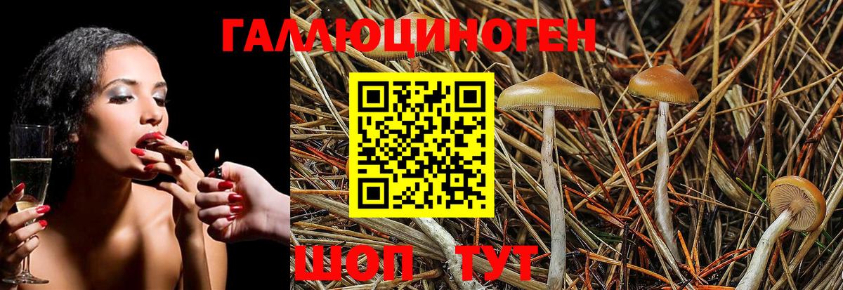 Псилоцибиновые грибы Magic Shrooms  Вход с VPN  Псилоцибиновые грибы Psilocybine cubensis  Канск 